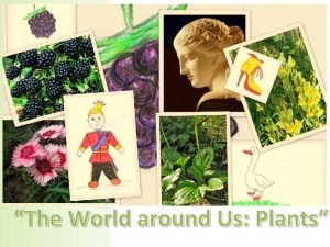 The World around Us Plants The World around