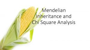 Mendelian Inheritance and Chi Square Analysis Observe the