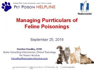 Managing Purrticulars of Feline Poisonings September 25 2018