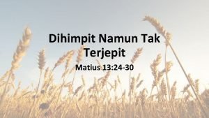 Dihimpit Namun Tak Terjepit Matius 13 24 30