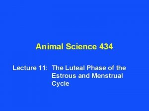 Animal Science 434 Lecture 11 The Luteal Phase