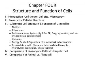 Do animal cells have vacuoles