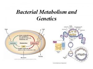Bacterial Metabolism and Genetics Metabolism Bacterial Metabolism All