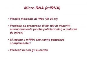 Micro RNA mi RNA Piccole molecole di RNA