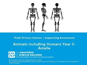 PLAN Primary Science Supporting Assessment Animals including Humans