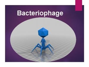 Bacteriophage Bacteriophage Phage were rst described in 1915