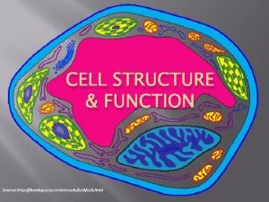 CELL STRUCTURE FUNCTION Source http koning ecsu ctstateu