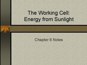 The Working Cell Energy from Sunlight Chapter 8