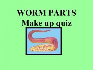 Earthworm body parts