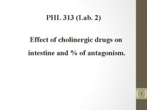 Cholinergic