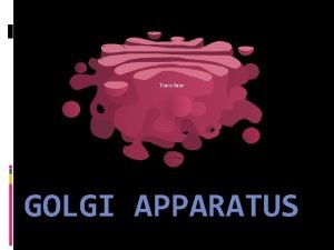 GOLGI APPARATUS Outline Introduction Golgi apparatus Discovery Golgi