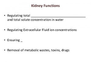 Bladder diagram labeled Bladder diagram labeled