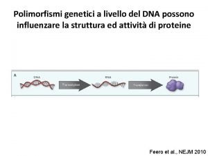 Polimorfismi genetici a livello del DNA possono influenzare