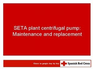 Seta plant