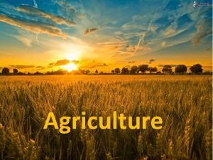 Agriculture What is it Agriculture AKA Farming or