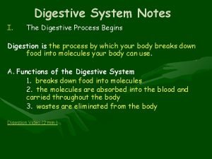 The digestive process begins in the