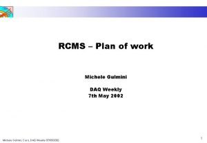 CMS RCMS Plan of work Michele Gulmini DAQ