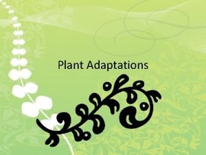 Plant Adaptations An adaptation is a characteristic which