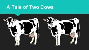 A tale of two cows