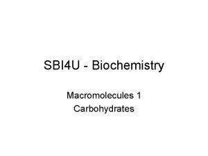 SBI 4 U Biochemistry Macromolecules 1 Carbohydrates Macromolecules