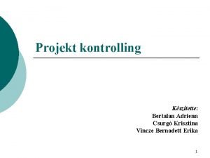 Projekt kontrolling Ksztette Bertalan Adrienn Csurg Krisztina Vincze