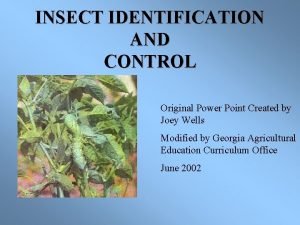 INSECT IDENTIFICATION AND CONTROL Original Power Point Created