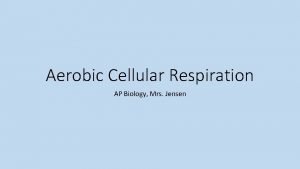 Aerobic Cellular Respiration AP Biology Mrs Jensen Cellular