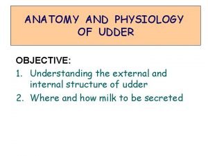 Structure of the udder