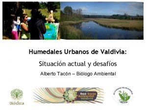 Humedales Urbanos de Valdivia Situacin actual y desafos