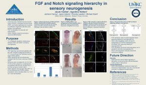 FGF and Notch signaling hierarchy in sensory neurogenesis