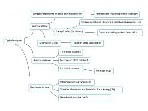 Feed enzyme