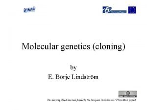 Molecular genetics cloning by E Brje Lindstrm This