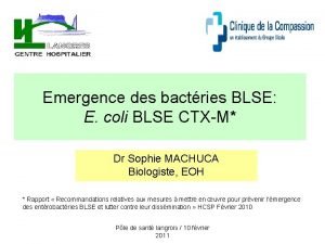 Emergence des bactries BLSE E coli BLSE CTXM