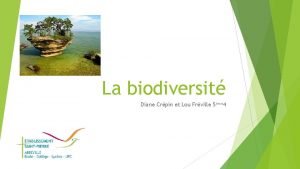 La biodiversit Diane Crpin et Lou Frville 5me