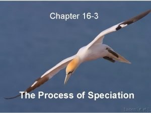 Section 16-3 the process of speciation