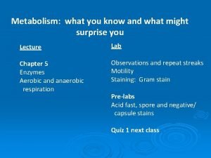 Metabolism what you know and what might surprise