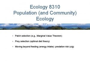 Ecology 8310 Population and Community Ecology Patch selection