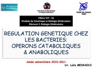 Laboratoire de Microbiologie et Biologie Molculaire Facult des