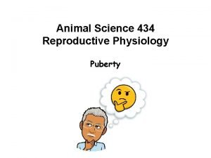 Animal Science 434 Reproductive Physiology Puberty Development of