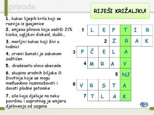 RIJEI KRIALJKU 1 kukac lijepih krila koji se