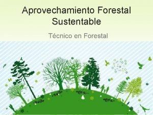 Aprovechamiento Forestal Sustentable Tcnico en Forestal OBJETIVO DE