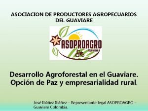 ASOCIACION DE PRODUCTORES AGROPECUARIOS DEL GUAVIARE Desarrollo Agroforestal