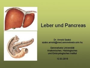 Leber und Pancreas Dr Arnold Szab szabo arnoldmed