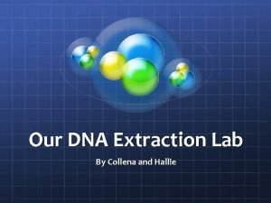Our DNA Extraction Lab By Collena and Hallie