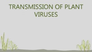 TRANSMISSION OF PLANT VIRUSES CelltoCell Movement of Plant