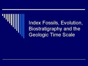 Index Fossils Evolution Biostratigraphy and the Geologic Time