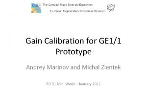 Gain Calibration for GE 11 Prototype Andrey Marinov