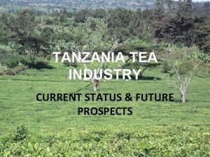 TANZANIA TEA INDUSTRY CURRENT STATUS FUTURE PROSPECTS Overview