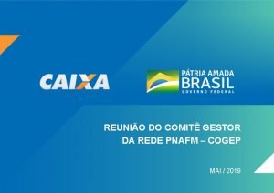 REUNIO DO COMIT GESTOR DA REDE PNAFM COGEP