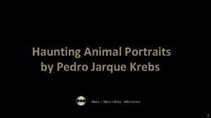 Haunting Animal Portraits by Pedro Jarque Krebs Music